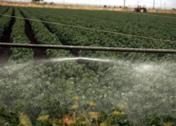 ΑΑΔΕ: Άνοιξε το σύστημα υποβολής της Ενιαίας Αίτησης Ενίσχυσης – Διορθώσεις 2024 και 2025 έως τις 27 Φεβρουαρίου