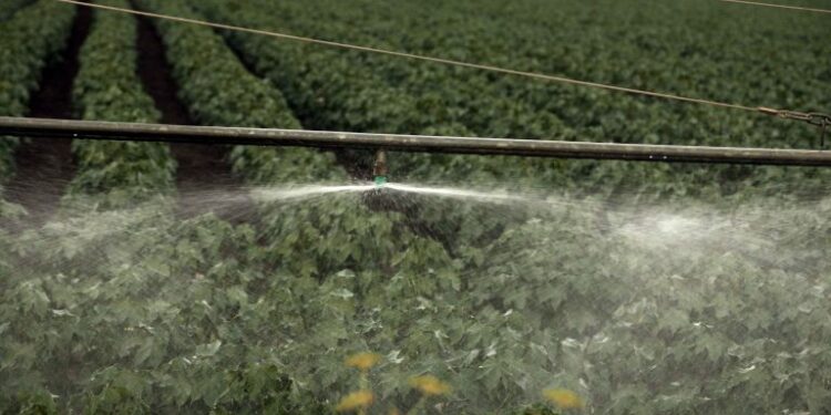 ΑΑΔΕ: Άνοιξε το σύστημα υποβολής της Ενιαίας Αίτησης Ενίσχυσης – Διορθώσεις 2024 και 2025 έως τις 27 Φεβρουαρίου