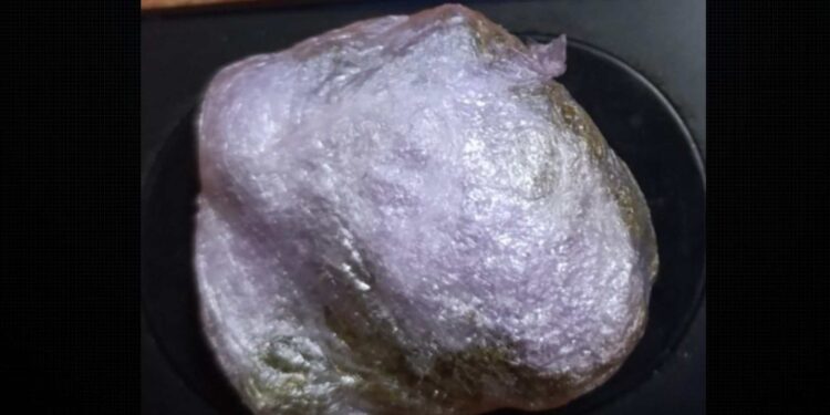 Ζάκυνθος: Σύλληψη 25χρονου για κατοχή ναρκωτικών ουσιών