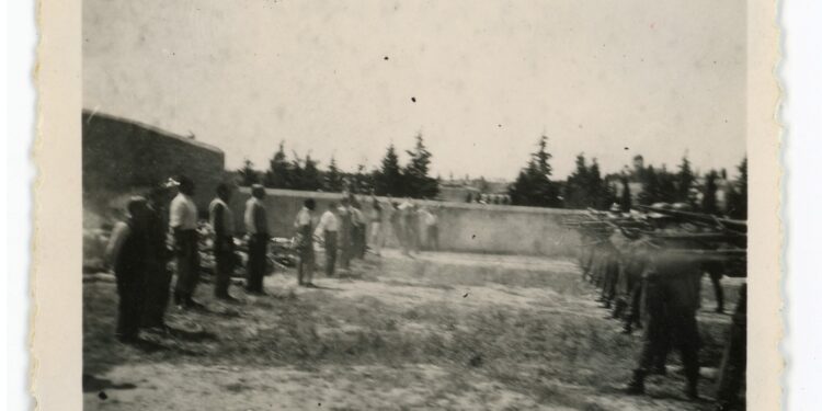 Καισαριανή: Παρουσιάστηκαν οι ιστορικές φωτογραφίες από την εκτέλεση των 200 - ertnews.gr