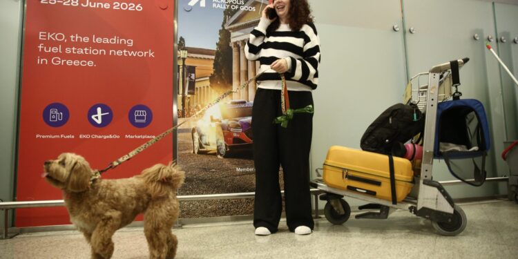 Επαναπατρίστηκαν 101 πολίτες από το Άμπου Ντάμπι – Είχαν μείνει πίσω γιατί δεν μπορούσαν να ταξιδέψουν τα κατοικίδιά τους - ertnews.gr