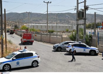 Aστυνομική επιχείρηση σε Ασπρόπυργο και Μάνδρα - 9 συλλήψεις για ρευματοκλοπές και όπλα - ertnews.gr