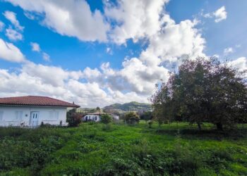 Καιρός: Ήπιο ανοιξιάτικο σκηνικό με ηλιοφάνεια και λίγες ασθενείς βροχές - Η πρόγνωση από την Αναστασία Τυράσκη - ertnews.gr