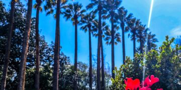 Καιρός: Ηλιοφάνεια, βοριάδες στο Αιγαίο και θερμοκρασίες κοντά στα κανονικά επίπεδα - ertnews.gr