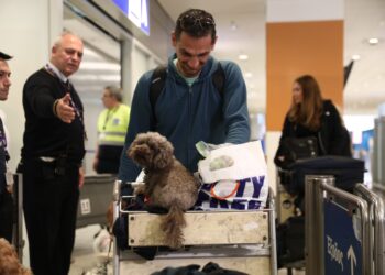 «Η επιχείρηση επαναπατρισμού με τα κατοικίδιά μας ήταν κάτι το μοναδικό»: Τι είπε στο ΕΡΤnews Radio 105,8, Έλληνας που επέστρεψε από Ντουμπάι - ertnews.gr