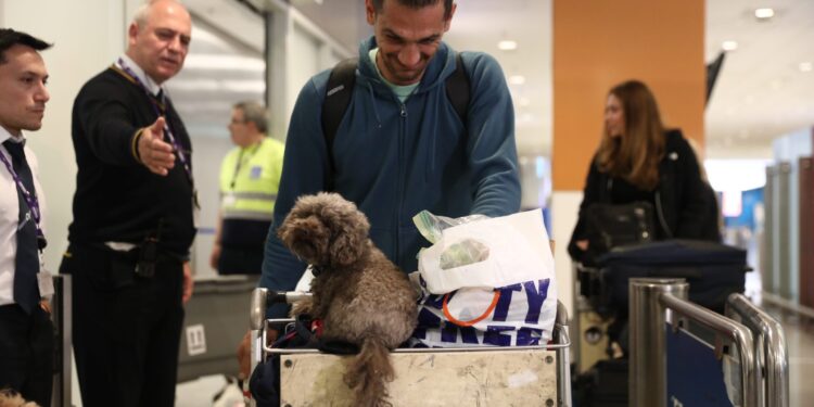 «Η επιχείρηση επαναπατρισμού με τα κατοικίδιά μας ήταν κάτι το μοναδικό»: Τι είπε στο ΕΡΤnews Radio 105,8, Έλληνας που επέστρεψε από Ντουμπάι - ertnews.gr