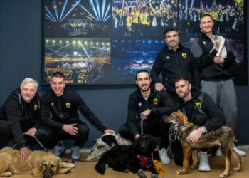 ΚΑΕ ΑΕΚ: Εξαιρετική δράση για την προστασία των ζώων (pics) - www.ertsports.gr