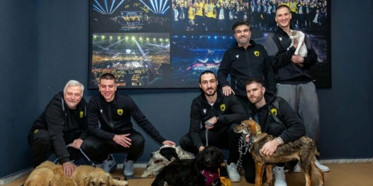 ΚΑΕ ΑΕΚ: Εξαιρετική δράση για την προστασία των ζώων (pics) - www.ertsports.gr