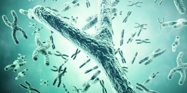 Οι άνδρες χάνουν το χρωμόσωμα Υ όσο μεγαλώνουν – Και αυτό είναι το κόστος για την υγεία τους