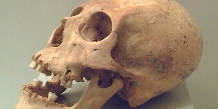 Επιστήμονες έλυσαν το μυστήριο με τα αρχαία «εξωγήινα» κρανία
