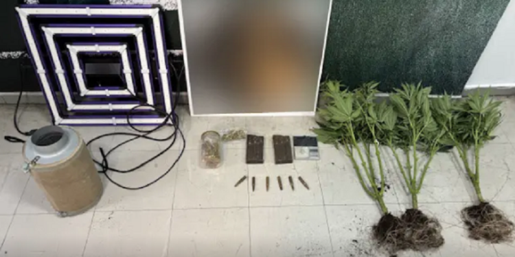 Σύλληψη 48χρονου που είχε στο σπίτι του πλήρως εξοπλισμένο εργαστήριο καλλιέργειας δενδρυλλίων κάνναβης
