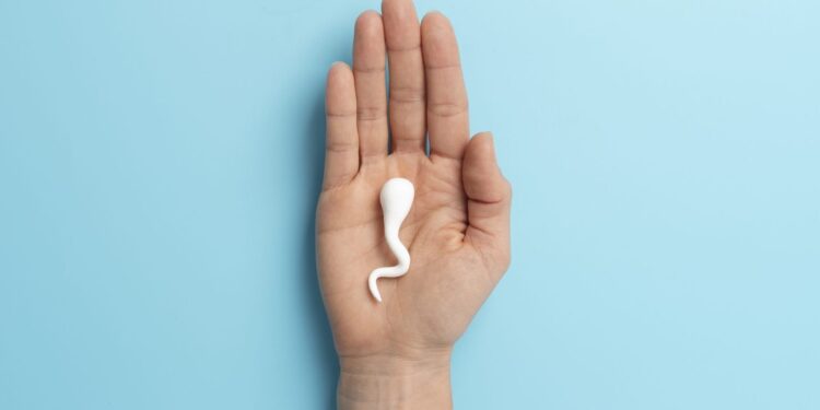 Τι έδειξε νέα έρευνα για τη συχνή εκσπερμάτιση