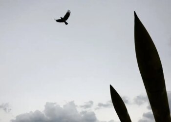 Οι Φρουροί της Επανάστασης απειλούν με επιθέσεις σε αμερικανικές εταιρείες στη Μέση Ανατολή από την 1 Απριλίου