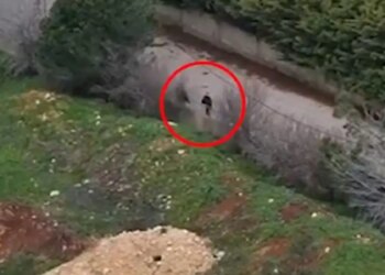 Οι IDF εξόντωσαν μέλη της Χεζμπολάχ με drones στον νότιο Λίβανο – Δείτε βίντεο