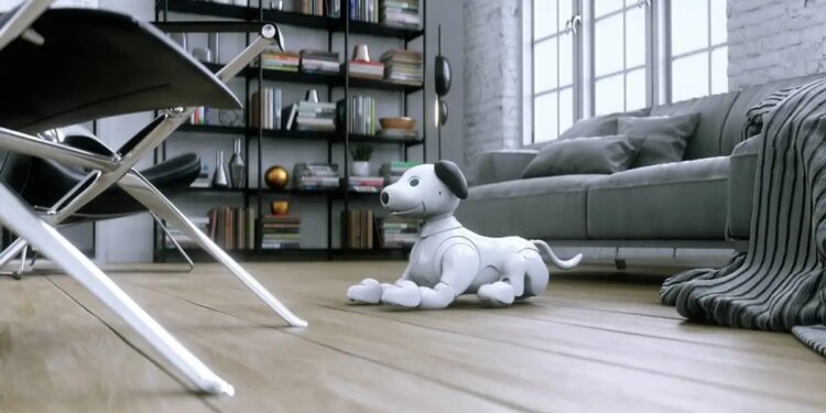 Πώς μετασχηματίζουν την ανθρώπινη συντροφικότητα και το lifestyle