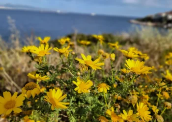 Ανοιξιάτικος ο καιρός στις περισσότερες περιοχές της χώρας - Πού προβλέπονται βροχές σήμερα; - ertnews.gr