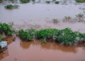 Κένυα: 88 νεκροί και χιλιάδες άστεγοι από σφοδρές πλημμύρες, φόβοι κατάρρευσης φράγματος