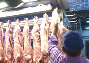 Πασχαλινή αγορά: Έως 16 ευρώ το κιλό η τιμή του οβελία λόγω ευλογιάς και πολέμου – Αυξήσεις και στα νωπά προϊόντα