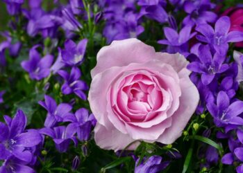 Εορτολόγιο: Ποιοι γιορτάζουν σήμερα, 29 Μαρτίου