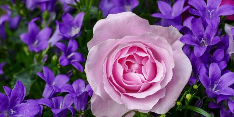 Εορτολόγιο: Ποιοι γιορτάζουν σήμερα, 29 Μαρτίου