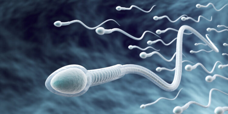 Αυτή η κοινή συνήθεια καταστρέφει το σπέρμα σας