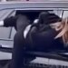 Viral απόδραση στο Μίσιγκαν: Γυναίκα το έσκασε από μισάνοιχτο παράθυρο περιπολικού φορώντας χειροπέδες