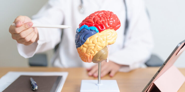 Διατροφή, ύπνος, άσκηση και αισιοδοξία σχετίζονται με τον κίνδυνο εμφάνισης άνοιας