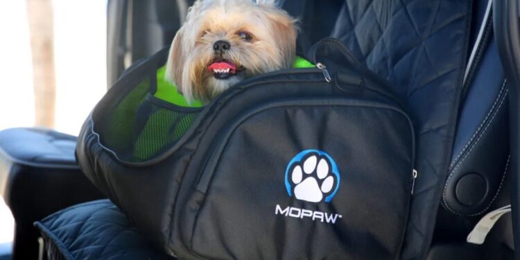 H Stellantis παρουσίασε αξεσουάρ για… κατοικίδια που τα λέει Mopaw