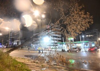 Πτώση δέντρου στην οδό Πειραιώς λόγω θυελλωδών ανέμων – Κυκλοφοριακές ρυθμίσεις - ertnews.gr