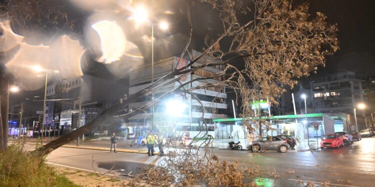 Πτώση δέντρου στην οδό Πειραιώς λόγω θυελλωδών ανέμων – Κυκλοφοριακές ρυθμίσεις - ertnews.gr