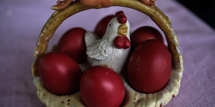 ÊÕÑÉÁÊÇ ÔÏÕ ÐÁÓ×Á ÓÔÇÍ ÐÑÅÂÅÆÁ(EUROKINISSI/ÃÉÙÑÃÏÓ ÅÕÓÔÁÈÉÏÕ)