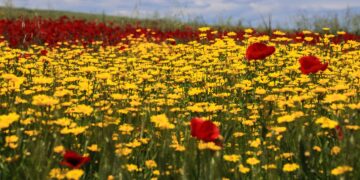 Ο καιρός το Πάσχα: Ιδανικές συνθήκες την Κυριακή - Πώς θα κάνουμε Ανάσταση - ertnews.gr