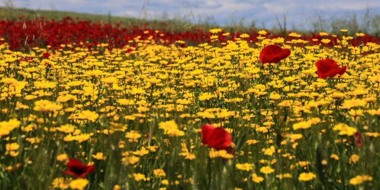 Ο καιρός το Πάσχα: Ιδανικές συνθήκες την Κυριακή - Πώς θα κάνουμε Ανάσταση - ertnews.gr