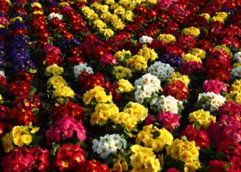 Εορτολόγιο: Ποιοι γιορτάζουν σήμερα, 2 Απριλίου - ertnews.gr