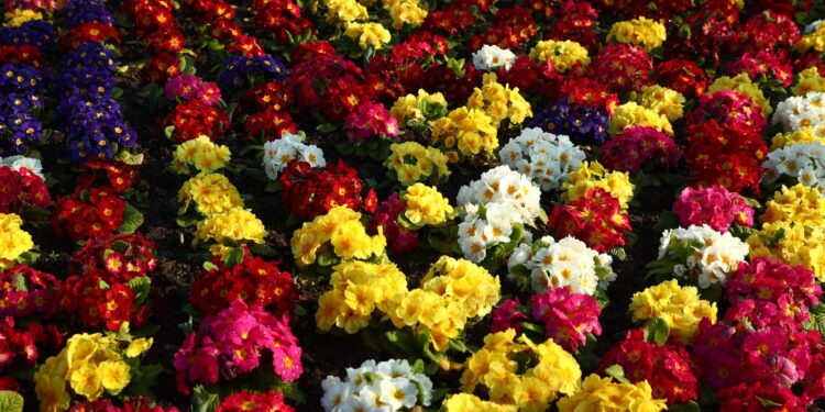 Εορτολόγιο: Ποιοι γιορτάζουν σήμερα, 2 Απριλίου - ertnews.gr