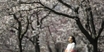 Η κλιματική αλλαγή ενισχύει την παραγωγή γύρης και επιδεινώνει τις εποχιακές αλλεργίες