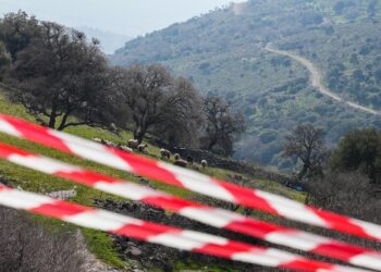 Σε αναβρασμό η Λέσβος με τον αφθώδη πυρετό: Τι λένε το Υπουργείο Αγρ. Ανάπτυξης και παράγοντες του νησιού στο ΕΡΤnews Radio 105,8