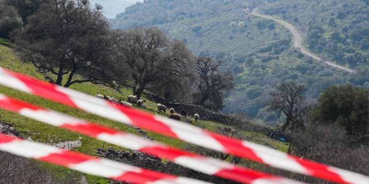 Σε αναβρασμό η Λέσβος με τον αφθώδη πυρετό: Τι λένε το Υπουργείο Αγρ. Ανάπτυξης και παράγοντες του νησιού στο ΕΡΤnews Radio 105,8