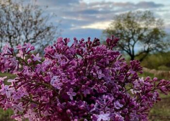 Καιρός: Αίθριος με πρόσκαιρες νεφώσεις σήμερα – Σταδιακή επιδείνωση τις επόμενες μέρες