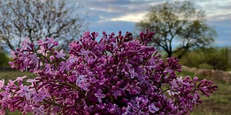 Καιρός: Αίθριος με πρόσκαιρες νεφώσεις σήμερα – Σταδιακή επιδείνωση τις επόμενες μέρες