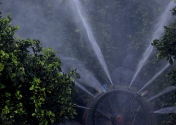 Καρκίνος: Ανησυχητική έρευνα για τα φυτοφάρμακα και τον κίνδυνο εμφάνισής του