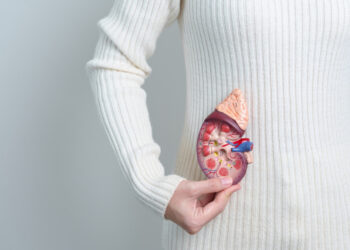 Πώς ο καύσωνας επηρεάζει την υγεία των νεφρών μας;