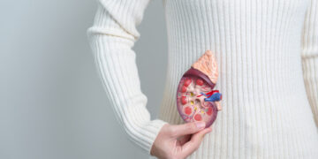 Πώς ο καύσωνας επηρεάζει την υγεία των νεφρών μας;