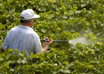 Φυτοφάρμακα και καρκίνος - Ακόμα και 150% υψηλότερος κίνδυνος για τους πληθυσμούς που εκτίθενται σε αυτά