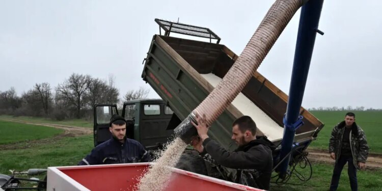 Η Ουκρανία ζητά από το Ισραήλ να κατασχέσει πλοίο που μεταφέρει «κλεμμένα» σιτηρά - Διπλωματικό «beef» στο Twitter