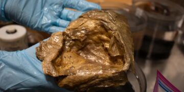 Λύθηκε το μυστήριο με τη χρυσή σφαίρα που βρέθηκε στα βάθη του ωκεανού