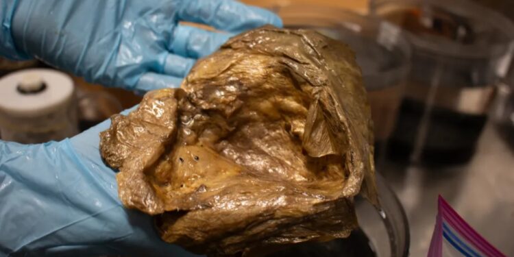 Λύθηκε το μυστήριο με τη χρυσή σφαίρα που βρέθηκε στα βάθη του ωκεανού