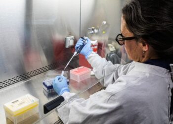 Χανταϊός: Πώς η κλιματική αλλαγή ευνοεί την εξάπλωση του ιού