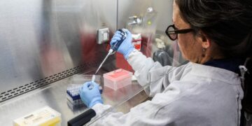 Χανταϊός: Πώς η κλιματική αλλαγή ευνοεί την εξάπλωση του ιού