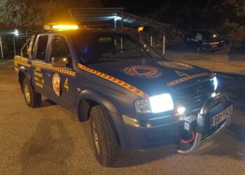 Στιγμές τρόμου για τρία παιδιά στη Γορίτσα – Τα περικύκλωσε αγέλη αγριογούρουνων